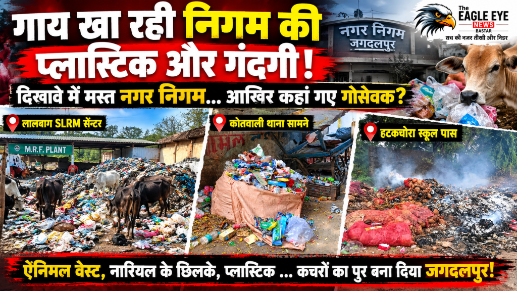 गायो को प्लास्टिक खिला रही निगम कोतवाली थाना के सामने गंदगी का अंबार, हटकचोरा स्कूल के पास कचरा जलाने से उठता धुआं!